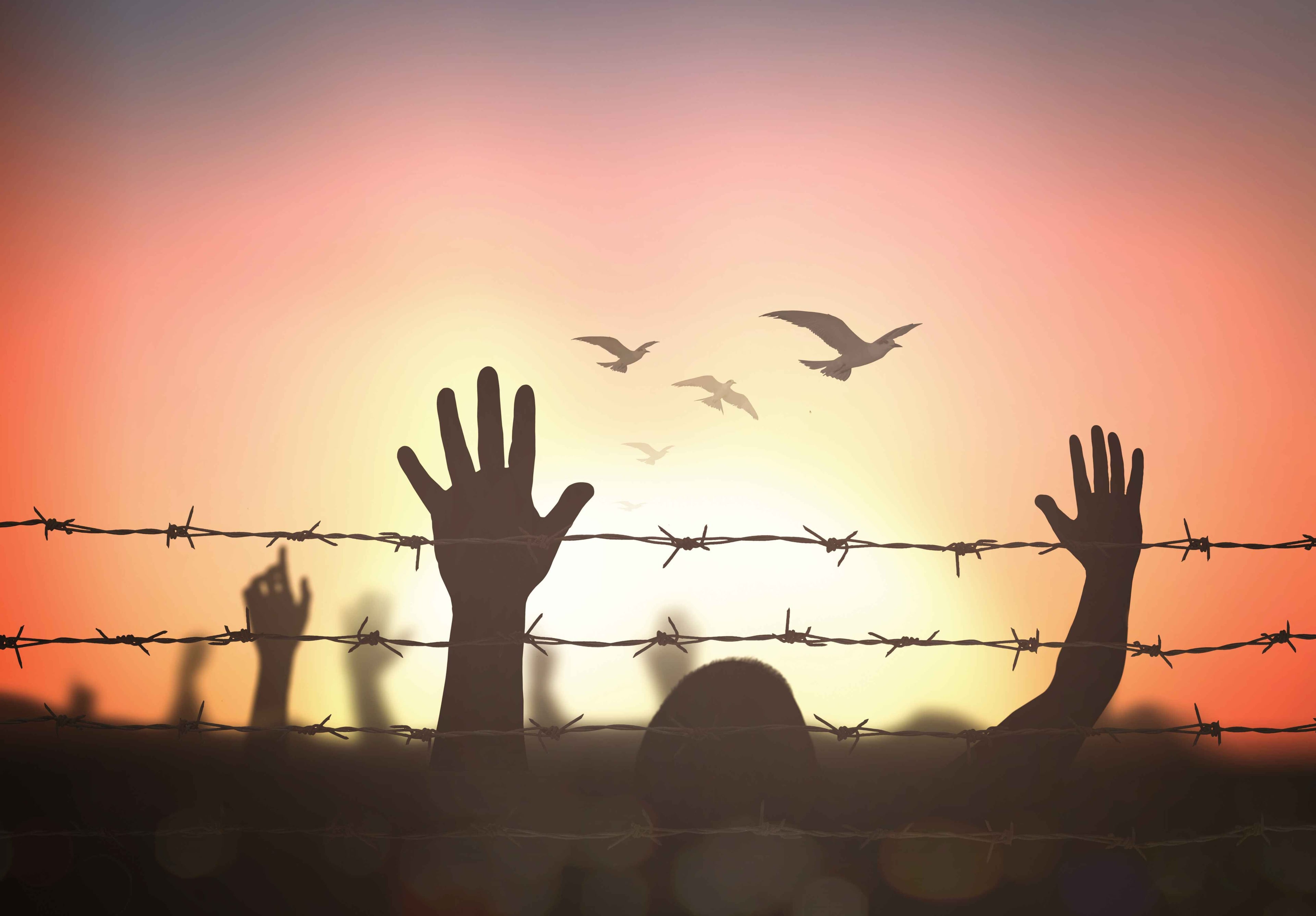 Why You Should Apply to Northern Ireland's Historical Institutional Abuse Redress Scheme