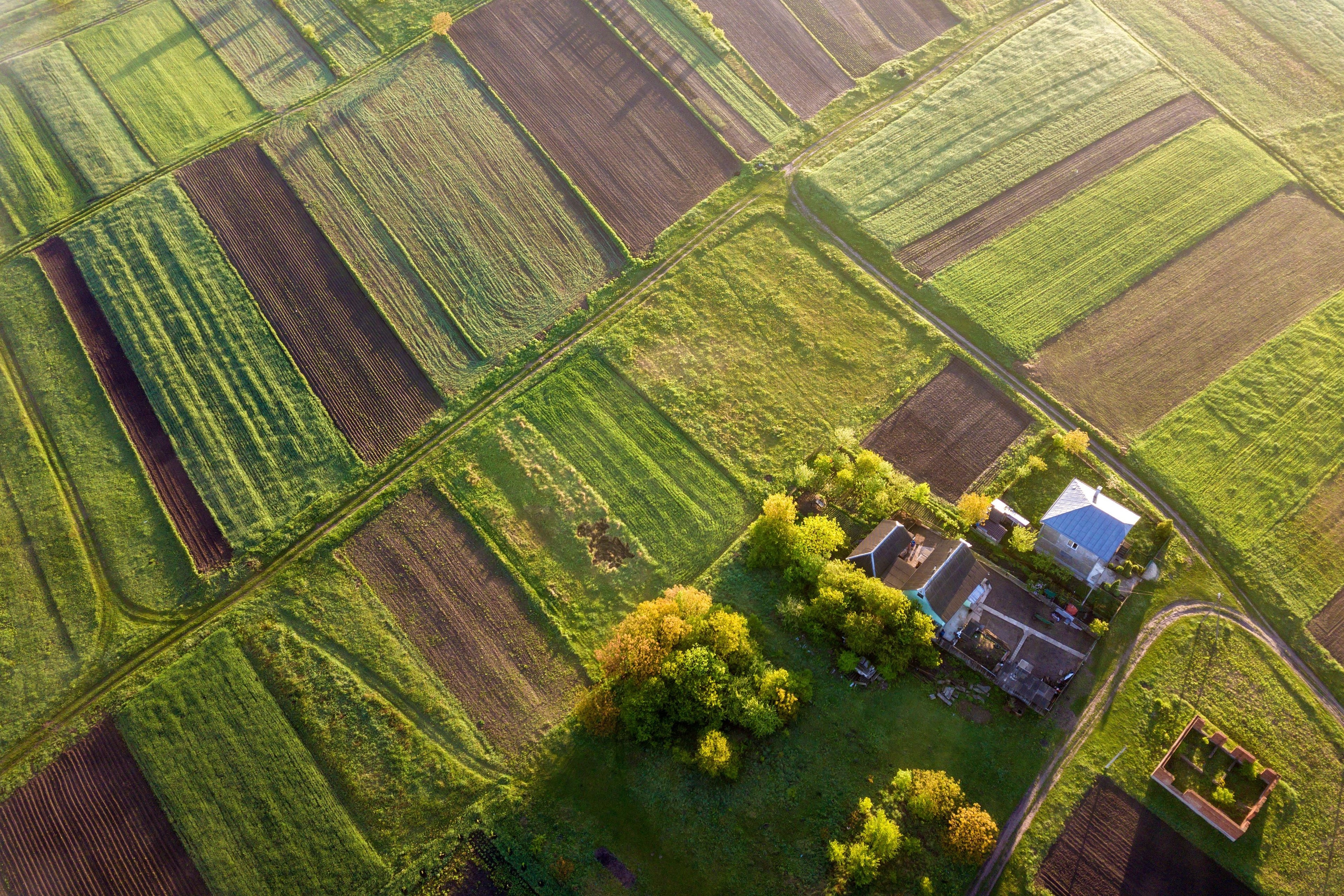 Tyrone Land Prices Reach Record Highs: What Property Owners and Buyers Need to Know in 2026
