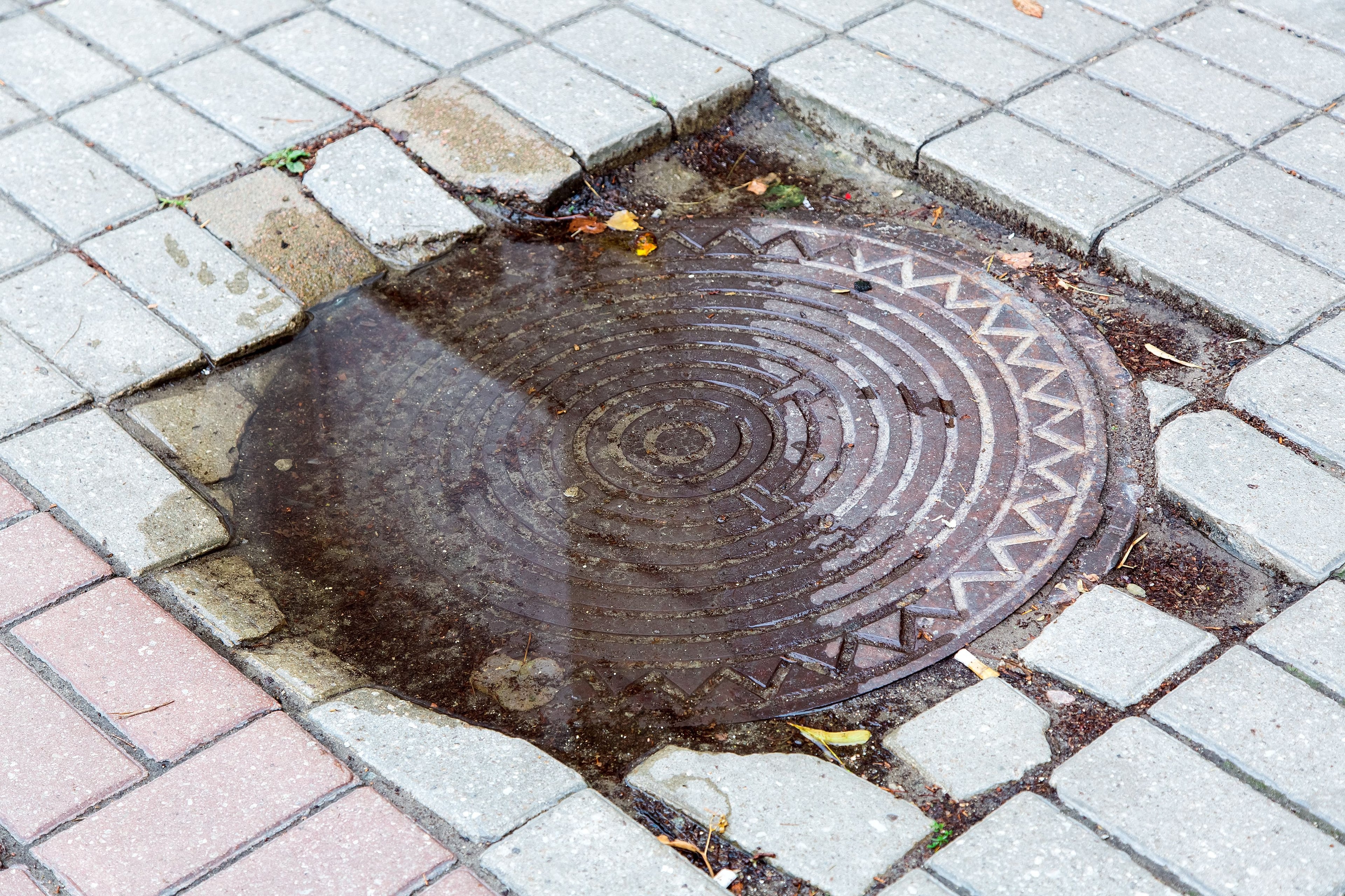 Unadopted Roads and Sewers in Northern Ireland: Homeowners' Rights and Remedies