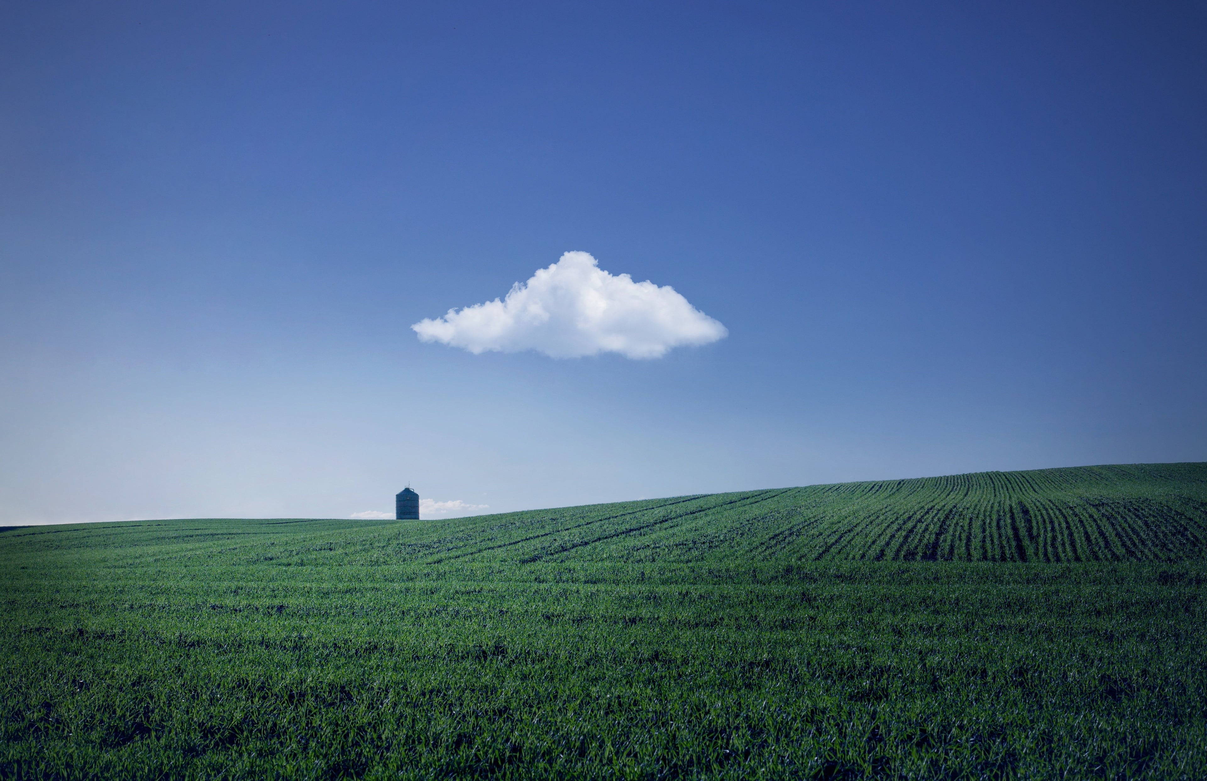 Divorce in Farming Families: How to Safeguard What Matters Most